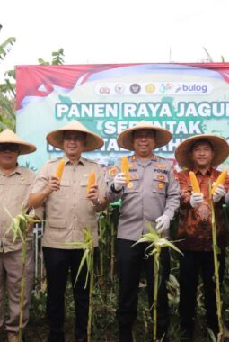 berita-rekomendasi-foto