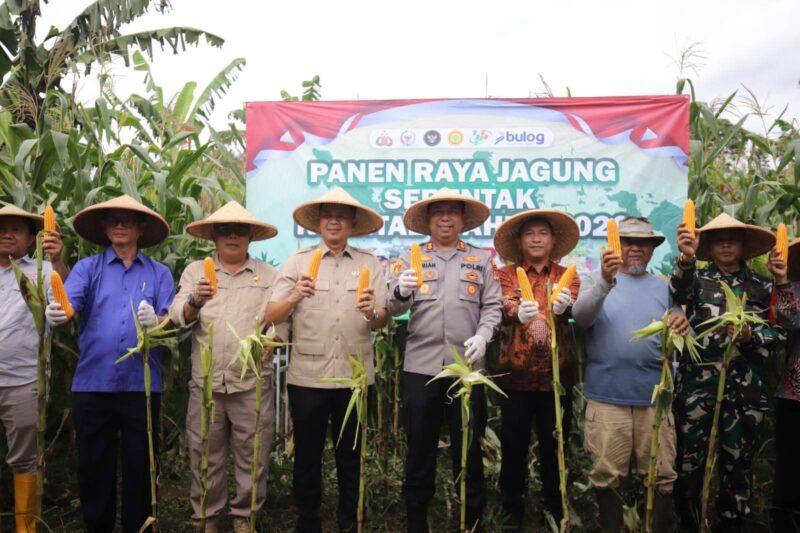 Panen Raya Jagung Serentak Kuartal I di Kampung Gudang, Nagrak, Kamis (8/1/2026).